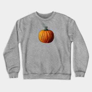 Pumpkin illustration Crewneck Sweatshirt